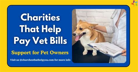 charities that help with vet bills|8 Organizations & Charities That Will Help Pay Vet Bills  .